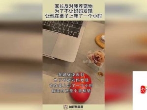 如何看待 91 黑料网在线观看？这是一个备受争议的话题