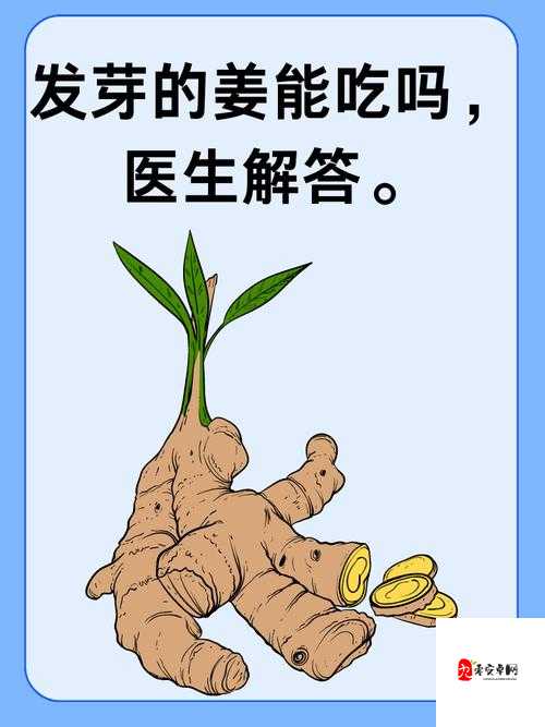 撅起来、自己报数、姜实践究竟是什么意思？它们有何特别之处？